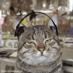 Bobbing Cat (animated)