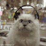 Bobbing Cat 2 (animated)