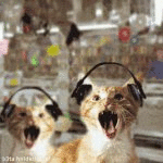 Bobbing Cats (animated)