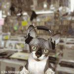 Chris, Jackie Wilson fan (animated)