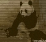 boo (animated)