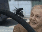 Bug me hard (animated)