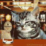 Timmy in the pub (animated)