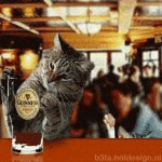 Crazy times in the pub (animated)