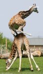 Weeeeee